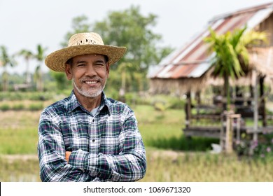 Portrait Happy Mature Man Is Smiling. Senior Farmer With White Beard Feeling Confident. Elderly Asian Man Standing ,cressed His Arm And In A Shirt And Looking At Camera.