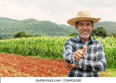 Portrait happy mature older man is smiling. Old senior farmer with white beard thumb up feeling confident. Elderly asian man standing in a shirt and looking at camera at corn field in sunny day. - Powered by Shutterstock