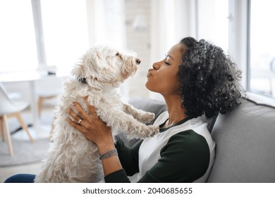 Portrait Of Happy Mature Woman Sitting Indoors At Home, Playing With Dog.