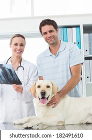 Portrait Of Happy Pet Owner And Vet With Xray Of Dog In Hospital