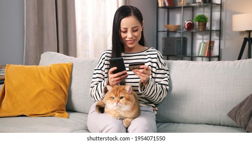 Portrait Of Happy Satisfied Asian Young Woman Buying On Internet Shopping Online On Smartphone Gadget On Sales In Good Mood While Sitting On Sofa In Room With Pet Animal Cat, E-commerce Concept