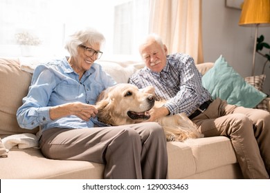 Portrait of happy senior couple with dog sitting on couch enjoying weekend at home in retirement - Powered by Shutterstock