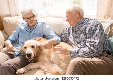 Portrait Of Happy Senior Couple With Dog Sitting On Couch Enjoying Family Weekend At Home In Retirement