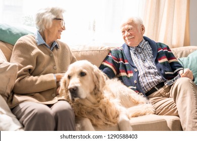 Portrait Of Happy Senior Couple With Dog Sitting On Couch Together And Enjoying Retirement