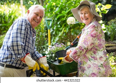 Portrait of happy senior couple with potted plants in garden - Powered by Shutterstock