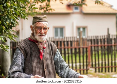 Portrait Of Happy Senior Farmer Looking At Camera. Old Man With Grey Hair Outdoor With Copy Space. Satisfied Gardener In Field Standing In His Garden.
