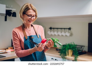 Portrait of a happy senior woman cooking in her modern kitchen and chopping fresh vegetables for salad at kitchen table. Copy space. Cheerful elderly homeowner woman cooking for her family. - Powered by Shutterstock