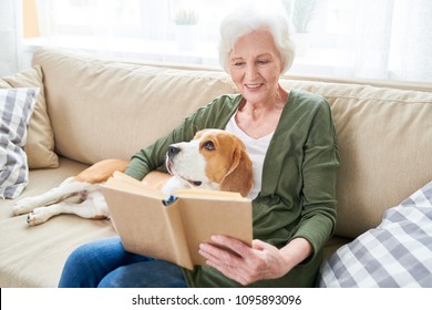 Portrait Of Happy Senior Woman Enjoying Leisure Time At Home Sitting On Comfortable Couch With Pet Dog In Her Lap And Reading Books