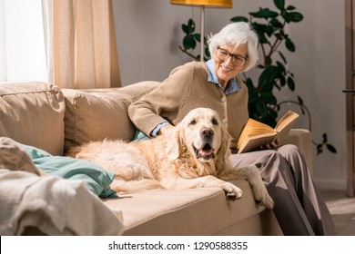 Portrait of happy senior woman hugging dog sitting on couch and enjoying retirement in living room lit by sunlight - Powered by Shutterstock