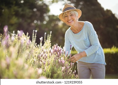 Portrait of happy senior woman standing in backyard - Powered by Shutterstock