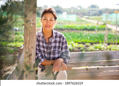 Portrait Of Happy Smiling Asian Woman In Her Vegetable Garden On Sunny Fall Day