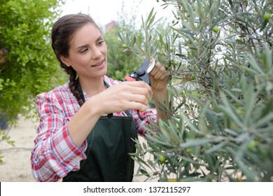 portrait of happy woman pruning olive tree in farm - Powered by Shutterstock