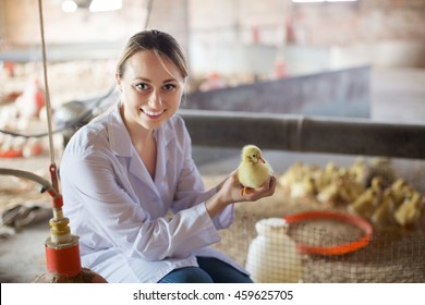 Portrait Of Happy Woman Veterinarian With Duckling On Poultry Farm