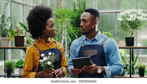 Portrait Of Happy Young African American Male Florist Flower Shop Owner Standing Indoor With Tablet And Talking To Female Employee Explaining Her Tasks. Man And Woman Running Floral Store Work Concept