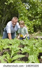 Portrait Of Happy Young Boy With Grandfather Gardening In Community Garden