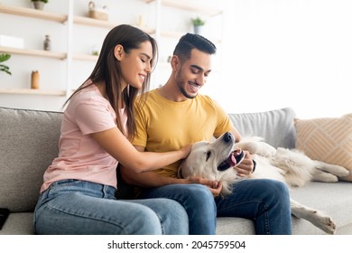 4,400 Couple sofa dog Images, Stock Photos & Vectors | Shutterstock