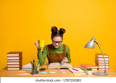 Portrait Of Her She Attractive Cheerful Focused Brainy Woman Nerd Reading Book Learning Grammar Drinking Beverage Staying Home Isolated Bright Vivid Shine Vibrant Yellow Color Background