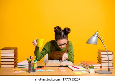Portrait of her she attractive focused knowledgeable brainy diligent woman nerd reading book finding solution drinking caffeine isolated bright vivid shine vibrant yellow color background - Shutterstock ID 1777955267