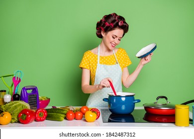 Portrait Of Her She Nice Attractive Mature Glamorous Wife Mother Mom Mum Cheerful Focused Housewife Cooking Domestic Natural Cuisine Noodle Soup Isolated Over Green Pastel Color Background