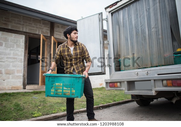 Portrait of a hipster farmer holding box\
of fruit lift up to the car to go market for\
sell.