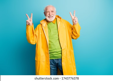 Portrait of his he nice cheerful cheery confident grey-haired man wearing yellow plastic overcoat showing double v-sign isolated over bright vivid shine vibrant blue color background
