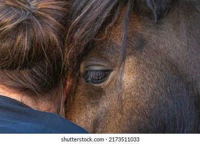 Portrait Of A Horse Cuddling With A Woman. Emotional Equestrian Bonding Team Secene Between Horse And Owner