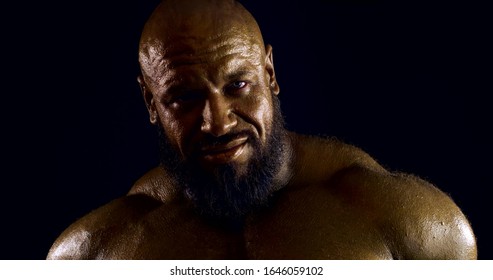 Portrait Of A Huge Bald Bearded Man With Bronze Skin On A Black Background. He Stares At The Camera, Moving His Muscles, Rubbing His Head. Dark Key