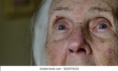 Portrait Of A Hundred Years Old Woman, Centenarian, Close Up