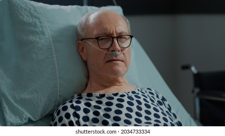 Portrait Of Ill Patient Laying In Hospital Ward At Recovery Unit With Nasal Oxygen Tube. Old Sick Man Healing From Lung Disease At Medical Facility With Help From Modern Equipment