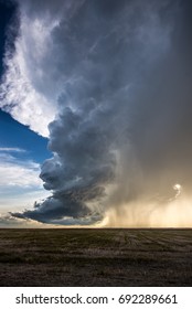 Portrait image of the fantastic structure still eminent from a decaying supercell near Strasburg, North Dakota. The evening sun peeking through the rain curtains made the scene even more spectacular.