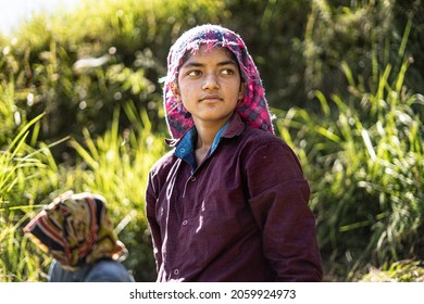 Portrait of an Indian female farmer in traditional dress. Indian girl farmer working in the fields. - Shutterstock ID 2059924973