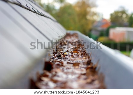 A portrait of inside of a clogged roof gutter filled with water and autumn leaves. The water cannot run away, this is a typical chore in or after autumn when all leaves have fallen.