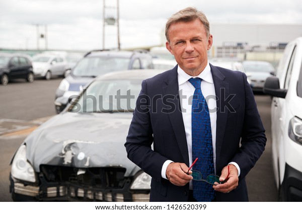 Portrait Of Insurance Loss Adjuster Inspecting\
Damage To Car From Motor\
Accident