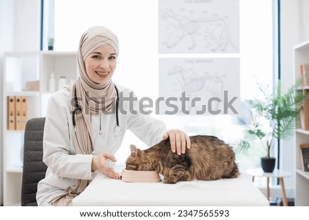 Portrait of joyful arabian vet in hijab and lab coat posing with feline patient on exam couch in animal hospital. Smiling young woman rubbing adult tabby cat while awarding pet with food in bowl.
