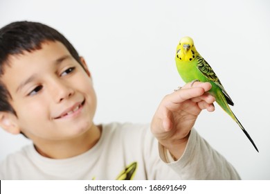 Portrait of a kid girl with her domestic parrot