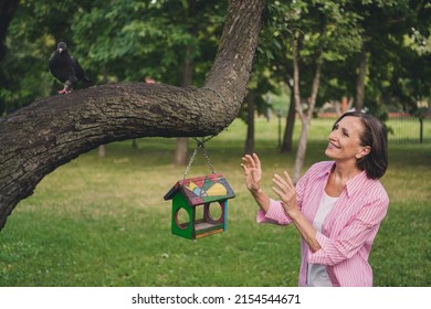 Portrait of kind cheerful aged lady play bird birdhouse feed wood branch morning walk outdoors
