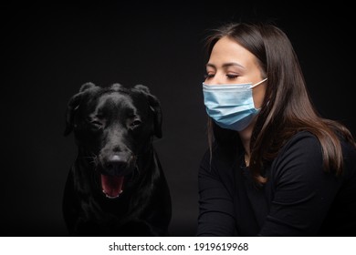are labrador dogs protective