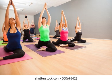 Portrait Of A Large Group Of People Doing A Low Lunge Pose During A Real Yoga Class