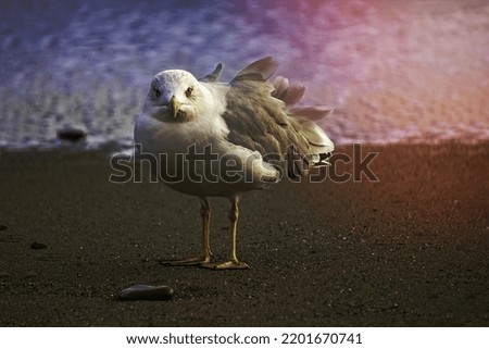 Similar – Image, Stock Photo You or me! Water Animal