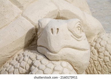 Portrait of a large tortoise carved in sand at a sand festival on a public beach in Florida, for motifs of ephemeral art and endangered species - Powered by Shutterstock