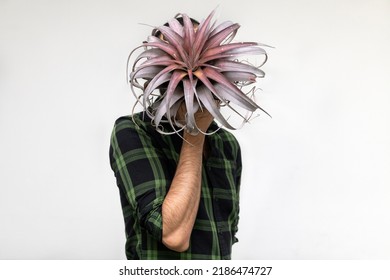 Portrait Of Latin American Male Gardener Holding A Parasitic Plant