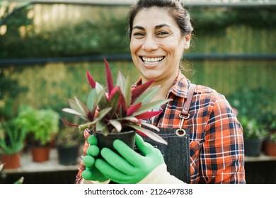 Portrait of latin woman working inside greenhouse garden - Nursery and spring concept - Focus on face