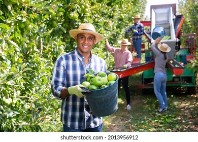 5,052 Latino Gardener Stock Photos, Images & Photography | Shutterstock