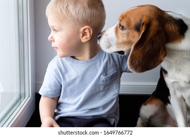 Portrait of a little boy with a dog