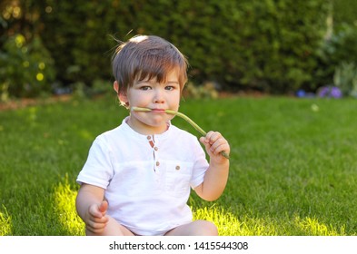 Portrait Of Little Boy Eating Fresh Asparagus Holding It In His Mouth. Baby Trying And Tasting New Food. Dieting, Vegetarian And Healthy Nutrition Concept.