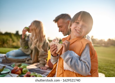 Portrait of little boy eating sandwich and looking at camera with a smile. Young parents having picnic with their children on blanket in park. Family and kids, nature concept. Horizontal shot - Powered by Shutterstock