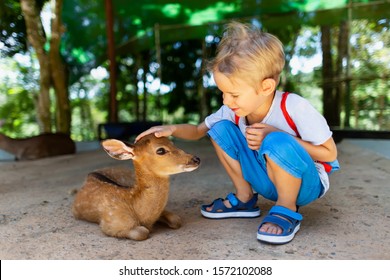 Portrait of little caucasian child feeding and petting deer fawn at outdoor park background.