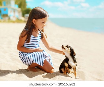 Portrait Little Girl And Dog On A Beach In Summer Day