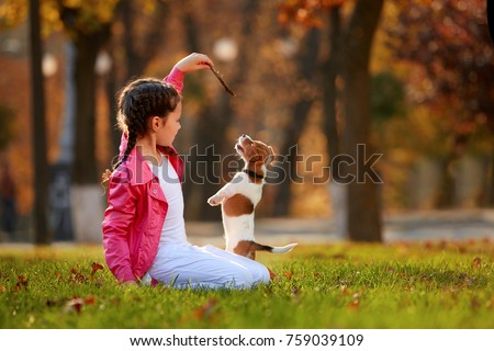 Portrait of a little girl on a background of blurred orange leaves in an autumnal sunny day. Little puppy jack russel terrier chasing baby.