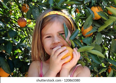 Portrait of little girl in orange grove picking oranges